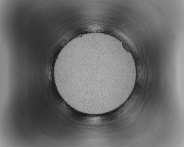 X0000094330313200711301234