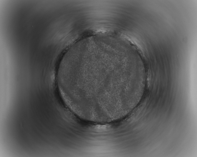 X0000094330314200711301234