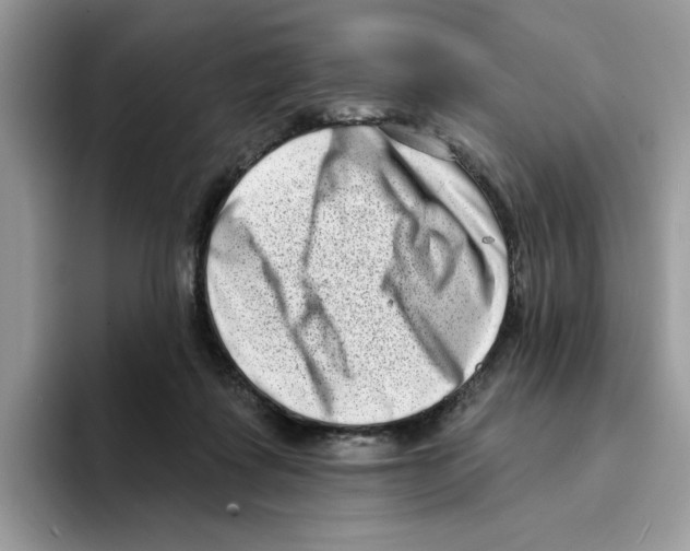 X0000094330315200711301234