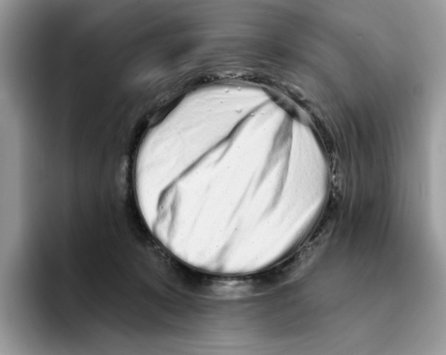 X0000094330319200711301234