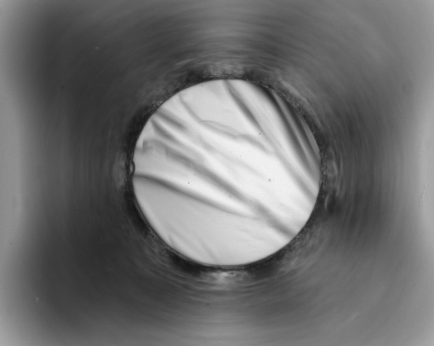 X0000094330323200711301233