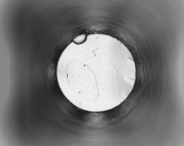 X0000094330328200711301233