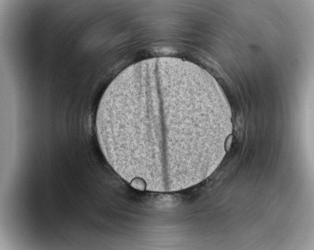 X0000094330330200711301233