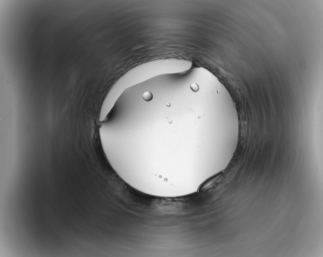 X0000094330331200711301233