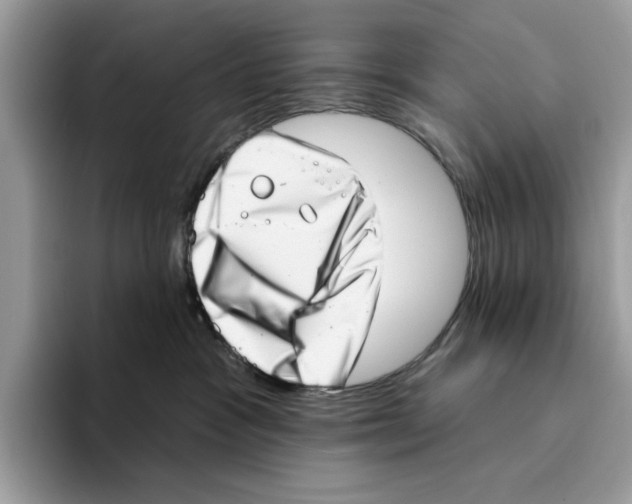 X0000094330333200711301233