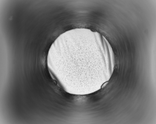 X0000094330334200711301233