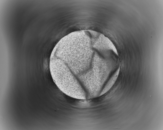 X0000094330335200711301233