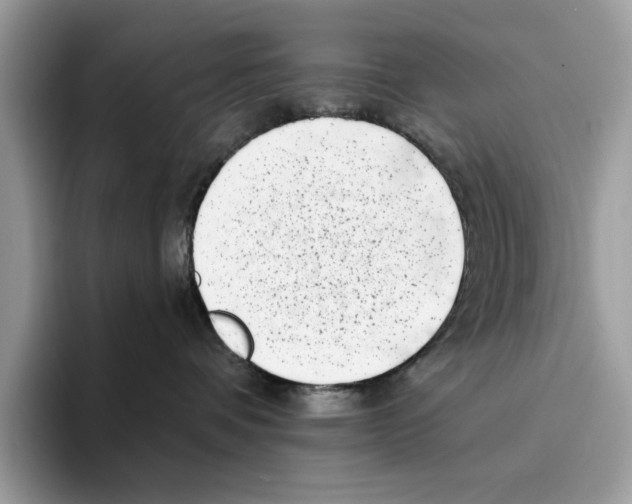 X0000094330336200711301233