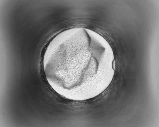 X0000094330338200711301233