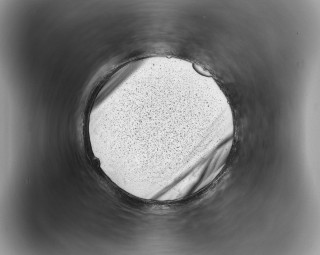 X0000094330341200711301233