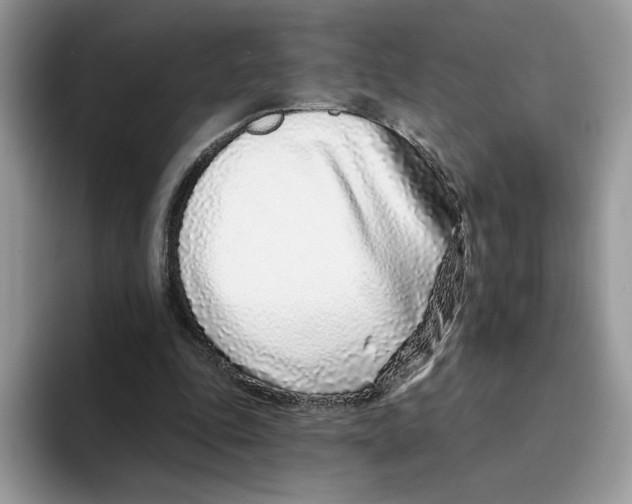 X0000094330343200711301233