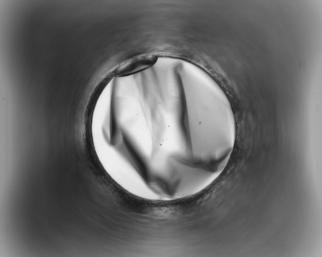 X0000094330344200711301233