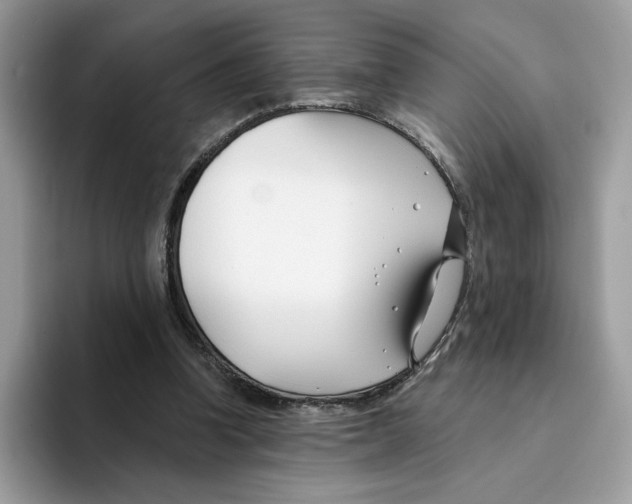 X0000094330346200711301233