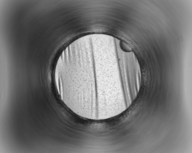 X0000094330350200711301233