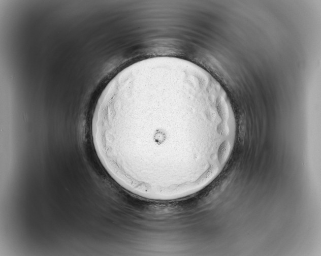 X0000094330351200711301233