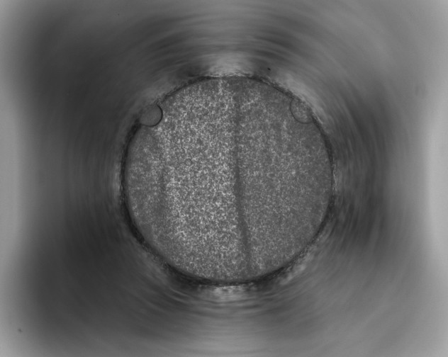 X0000094330353200711301233