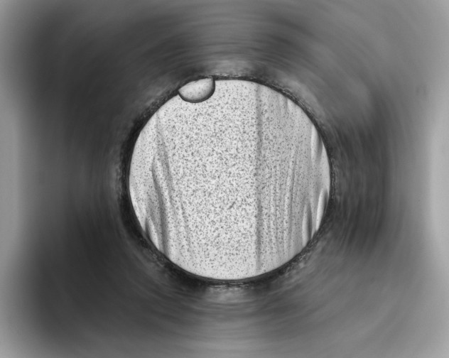 X0000094330354200711301233