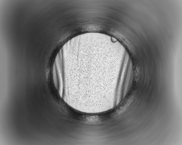 X0000094330355200711301233