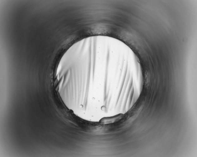 X0000094330356200711301233