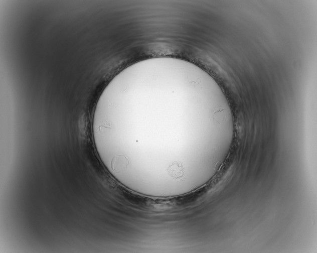 X0000094330359200711301233