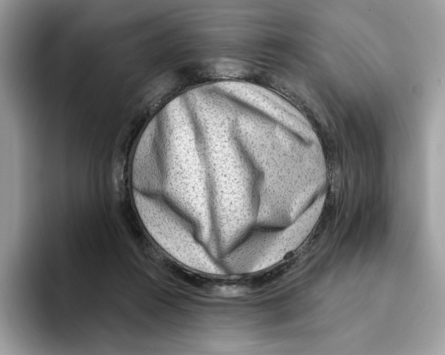 X0000094330360200711301233