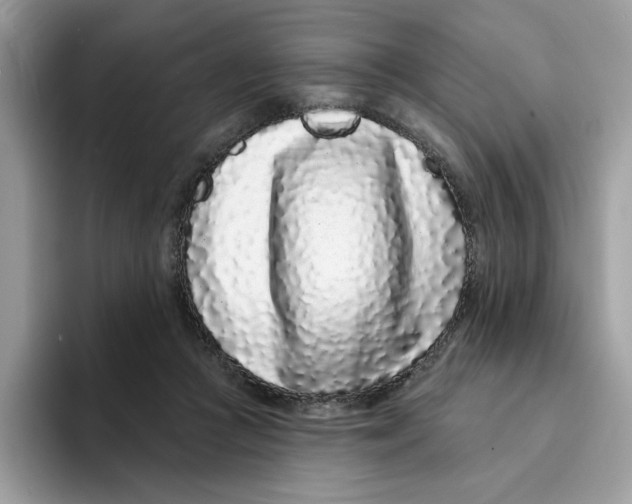 X0000094330361200711301233