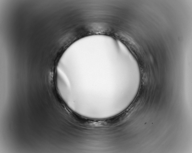 X0000094330365200711301233