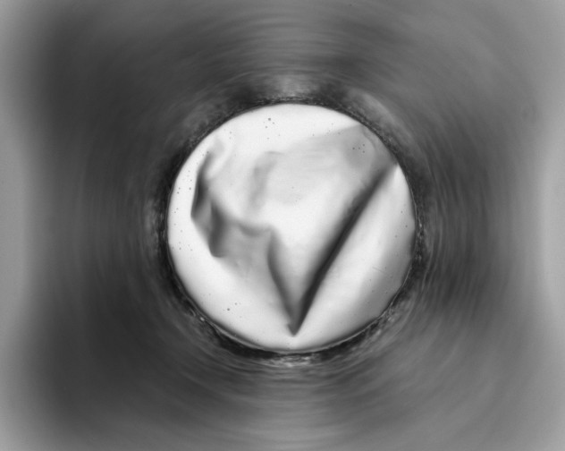 X0000094330366200711301233