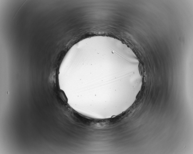 X0000094330368200711301233