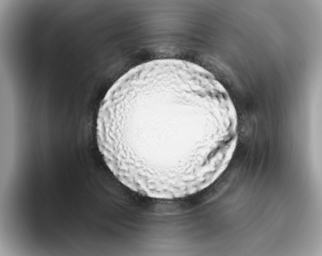 X0000094330369200711301233