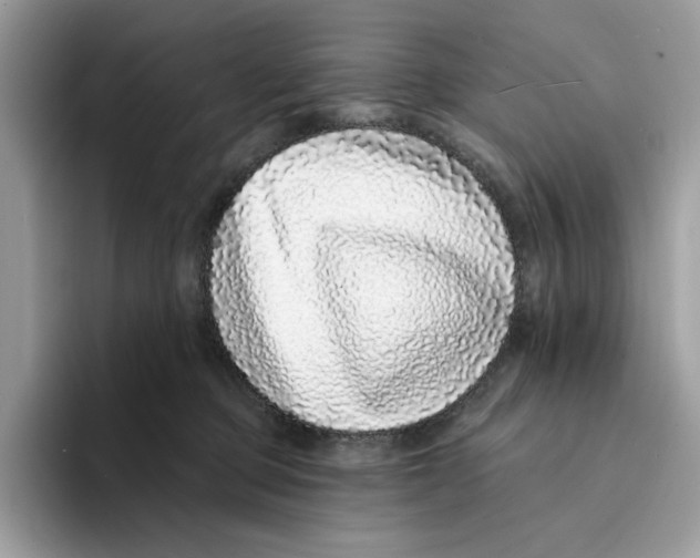 X0000094330373200711301233