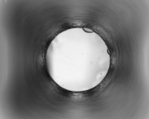 X0000094330376200711301233