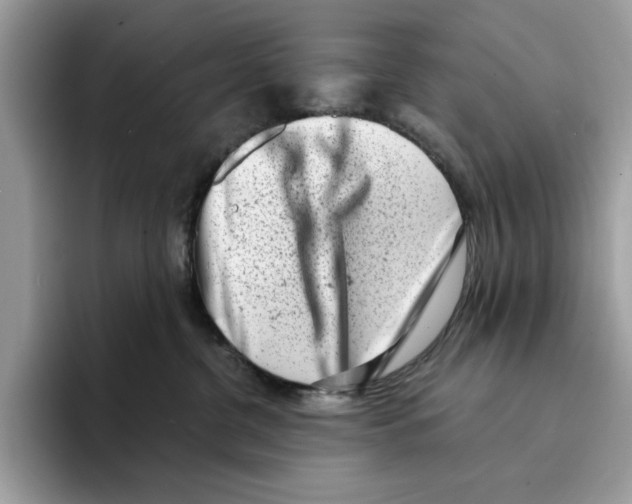 X0000094330380200711301233