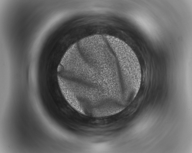 X0000094330383200711301233