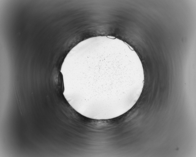 X0000094330384200711301233