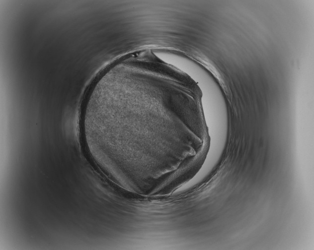 X0000094330387200711301233