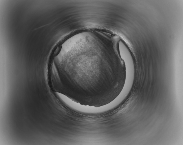 X0000094330391200711301233