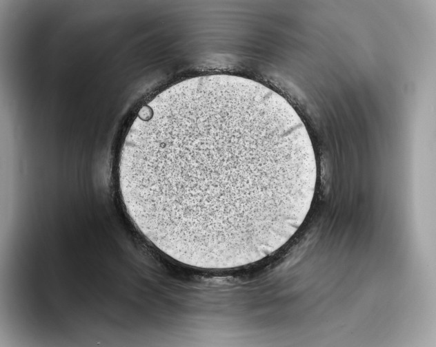 X0000094330396200711301233