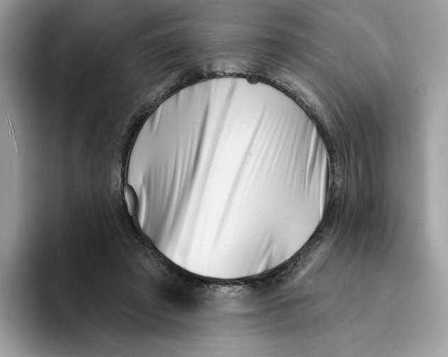 X0000094330401200711301232