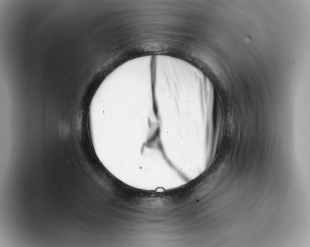 X0000094330404200711301232