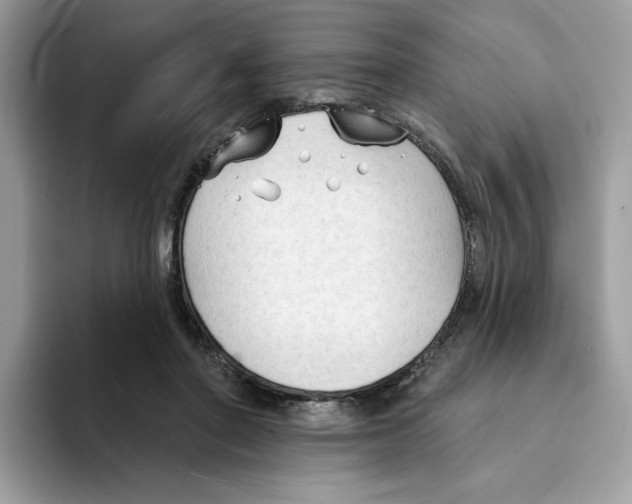 X0000094330406200711301232