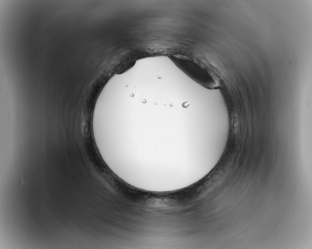 X0000094330408200711301232