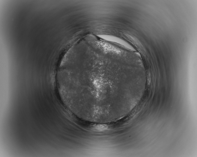 X0000094330409200711301232