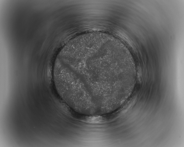 X0000094330410200711301232