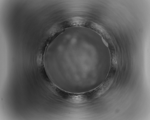 X0000094330411200711301232