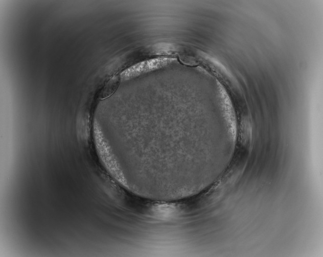 X0000094330413200711301232