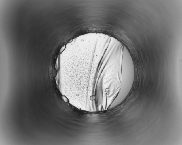 X0000094330419200711301232