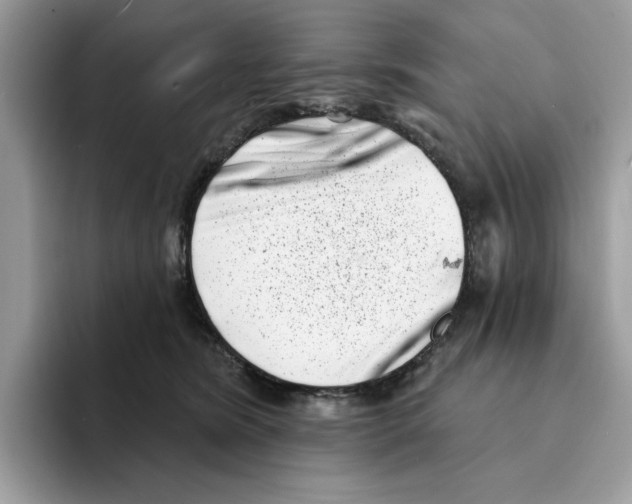 X0000094330420200711301232