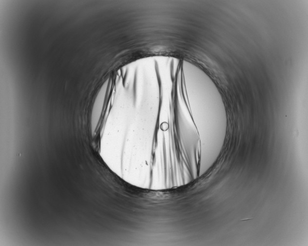 X0000094330421200711301232