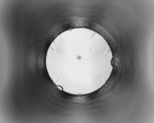 X0000094330422200711301232